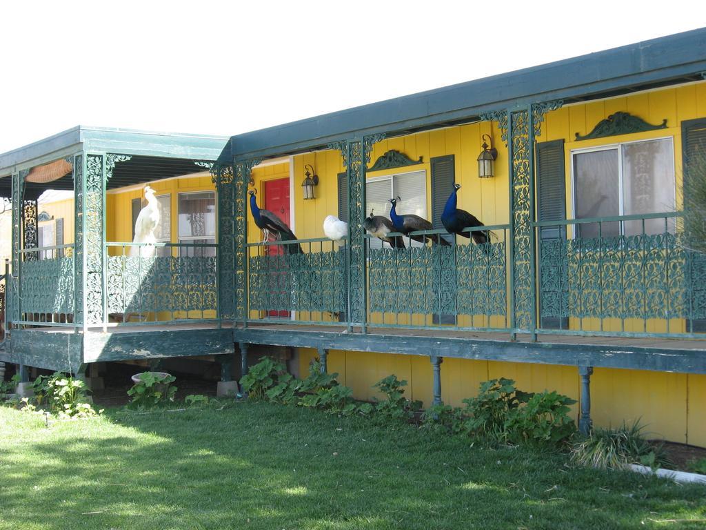 Shady Lady Bed And Breakfast Scottys Junction Exterior photo